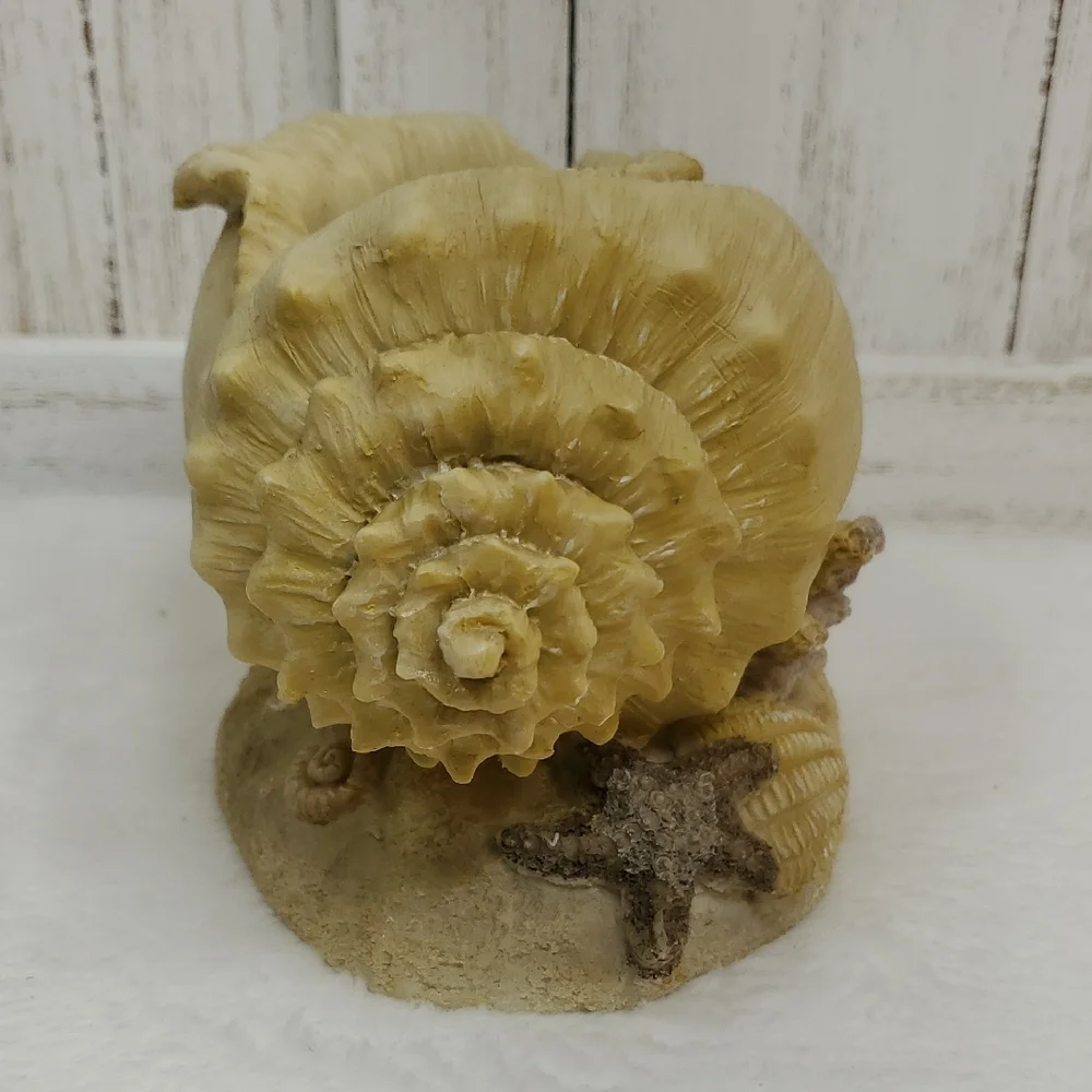 Conch Shell Seashell Planter Beach Ocean Coastal Decor